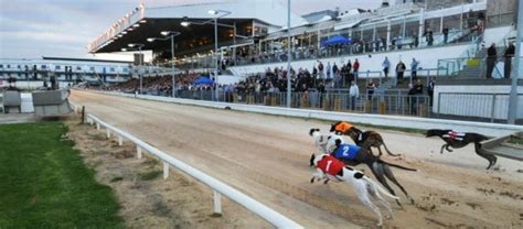 youghal greyhound results today|Trackinfo .